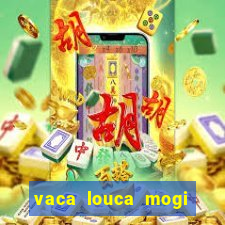 vaca louca mogi das cruzes